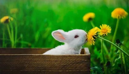 欧亿体育投注-华体会体育：皇马官方赞助商，助力足球梦想腾飞